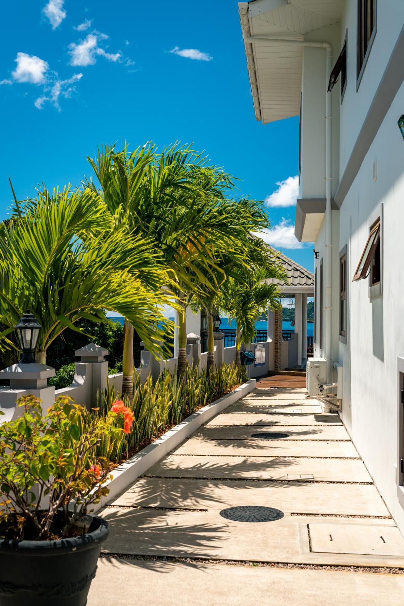 בו ואלון D'Offay Seaview Apartments מראה חיצוני תמונה